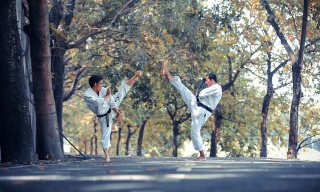 ceintures Taekwondo