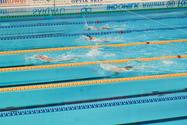 compétition de natation